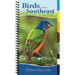 Birds of the Southeast: Your Way to Easily Identify Backyard Birds
