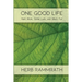 One Good Life: Hard Work, Some Luck, and Much Fun