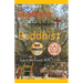 The Adventures of a Southern (Baptist) Buddhist