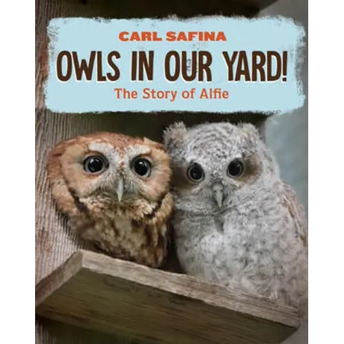 Owls in Our Yard!: The Story of Alfie