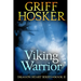 Viking Warrior