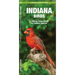 Indiana Birds: An Introduction to Familiar Species