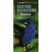 Backyard Birdwatching in Houston: An Introduction to Birding and Common Backyard Birds of Southeastern Texas
