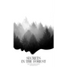 Secrets in the Forest