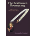The Beethoven Boomerang: A Megan Crespi Mystery Series Novel