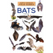 Bats