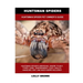 Huntsman Spiders: Huntsman Spider Pet Owner's Guide