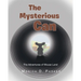 The Mysterious Can: The Adventures of Mouse Land