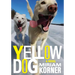 Yellow Dog