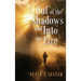Out of the Shadows and into the Fire