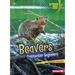 Beavers: Freshwater Engineers