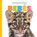Leopardos Bebes