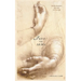 Into The Arms: A Discovery of Truth & Love