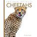 Cheetahs