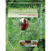 GREEN GODDESS - simple, quick and healthy recipes: Raw/Cooked/Live/Vegan/Vegetarian/Diabetic