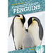 Fun Facts about Penguins