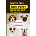 How To Train Your Puppy In An Easy, Fast And Fun Way: Housebreaking, Obedience & Crate Training: Basic Obedience Training For Puppies