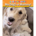 My Dog's a Mommy!