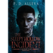 The Sleepy Hollow Incident Book One: A Gothic Tale!