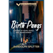 Birth Pangs: A Novel of Home, Family, and Abandonment