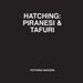 Hatching: Piranesi & Tafuri