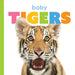 Baby Tigers