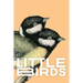 Little Birds