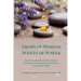 Drops of Wisdom Points of Power