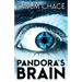 Pandora's Brain