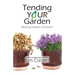 Tending Your Garden: Blessing Heaven and Earth