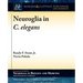Neuroglia in C. elegans