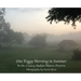 One Foggy Morning in Summer: In the Creasey Mahan Nature Preserve