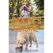The Canine's Cuisine: A Dive into Dog Food Evolution