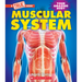 Muscular System (a True Book: Your Amazing Body)