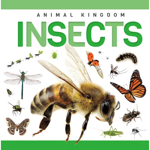 Insects