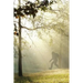 Finding Bigfoot and Other Stories