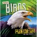 Killer Birds