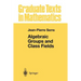 Algebraic Groups and Class Fields