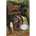 The Incredible Essence of Elephants