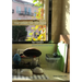 Your Golden Sun Still Shines: San Francisco Personal Histories and Small Fictions