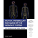 Motor and Sensory Pathways of the Nervous System