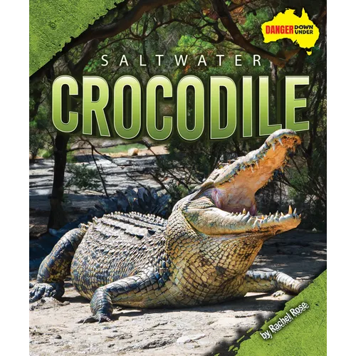 Saltwater Crocodile