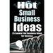 Hot Small Business Ideas: 25 Smokin' Hot Start Up Business Ideas To Spark Your Entrepreneurship Creativity And Have You In Business Fast!