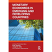 Monetary Economics in Emerging and Developing Countries