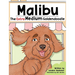 Malibu the Extra Medium Goldendoodle