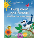 Fairy wren and friends: Seek and find in the garden
