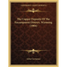 The Copper Deposits Of The Encampment District, Wyoming (1904)