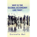 Why Is the Global Economy Like This?