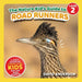 The Nature Kid's Guide to Roadrunners: A Level 2 Reader for Curious Young Kids Who Love Roadrunners!