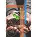 Food Security and Sustainable Development: Advancing Global Food Systems by Integrating Climate Change, Nutrition, Agriculture, Governance, and Trade
